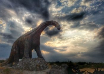 Daily News Reel - Balasinor Dinosaur Fossil Park