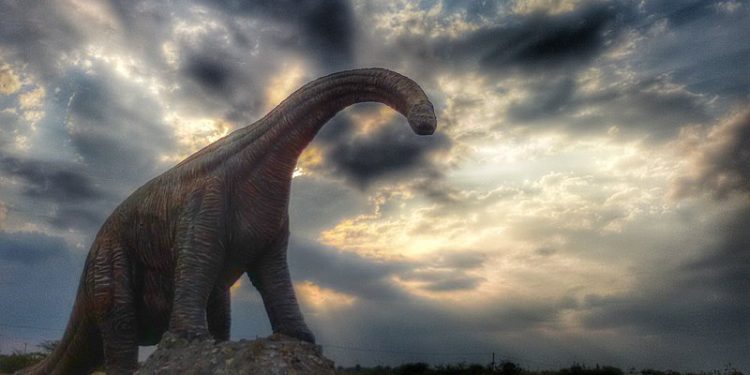 Daily News Reel - Balasinor Dinosaur Fossil Park