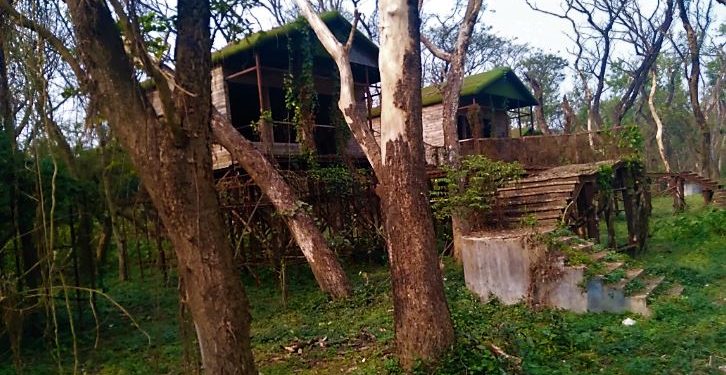 Daily News Reel - Sabuj Dwip Becoming Island of Concrete