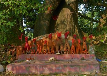 Daily News Reel - Worship of Tree in Bengal