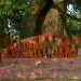 Daily News Reel - Worship of Tree in Bengal