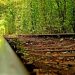 Daily News Reel - Tunnel of Love Ukraine Feature