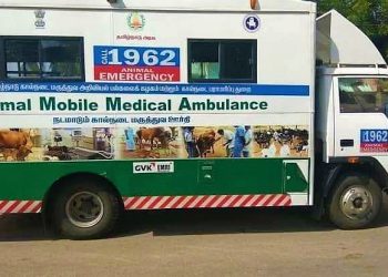 Daily News Reel - Ambulance for animal in Chennai