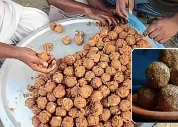 Daily News Reel - Kastar Laddu Purulia Feature