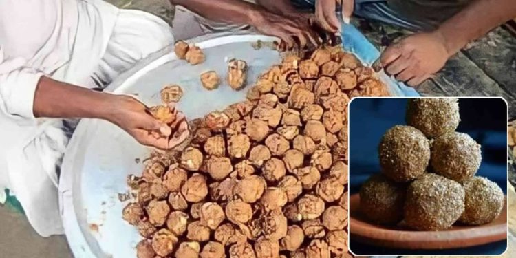 Daily News Reel - Kastar Laddu Purulia Feature