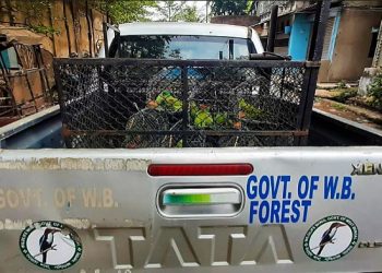 Daily News Reel - Fourteen Parrots Became Free at Howrah