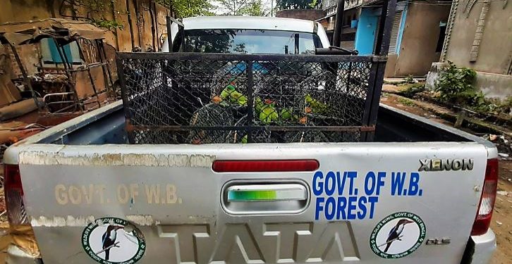 Daily News Reel - Fourteen Parrots Became Free at Howrah