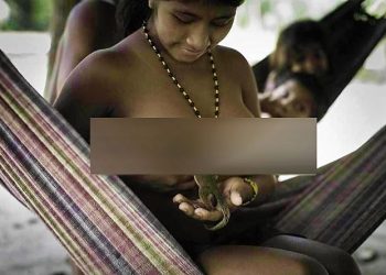 Daily News Reel - Women Feeds Breast Milk to Animals