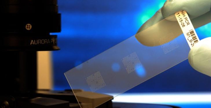 Daily News Reel - Relevance of Biological Chip