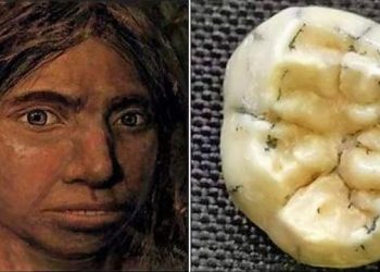 Daily News Reel - Ancient Teeth Found in Laos