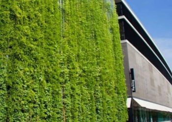 Daily News Reel - Respire Bio Receptive Concrete