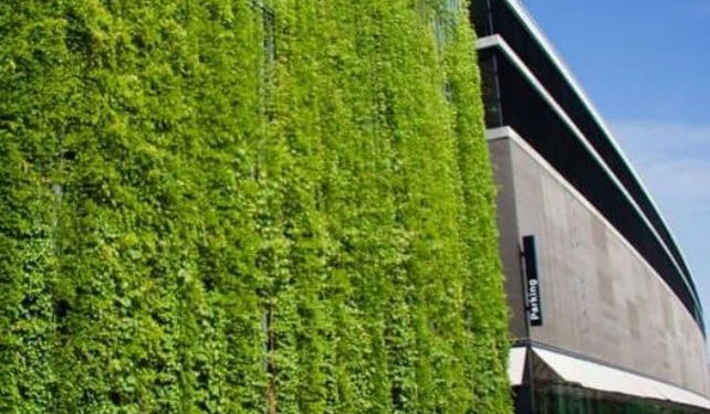 Daily News Reel - Respire Bio Receptive Concrete