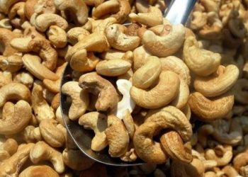 Daily News Reel - Cashew Nuts Industry of Contai Feature