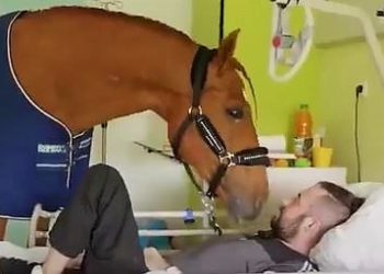 Daily News Reel - Dr. Peyo Special Story