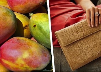 Daily News Reel - Fruit Leather Prevents Animal Killing