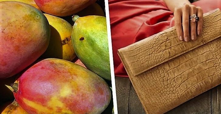 Daily News Reel - Fruit Leather Prevents Animal Killing