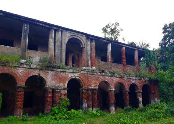 Daily News Reel - Indigo Revolution Special Story