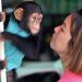 Daily News Reel - Intelligence of Animals Special Story