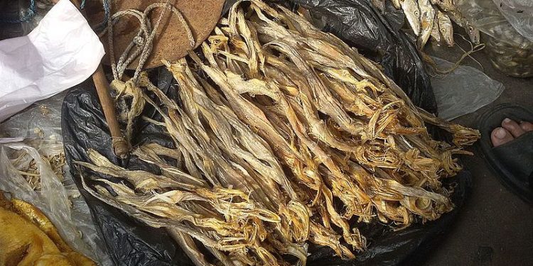 Daily News Reel - Shutki Maach Industry of Junput