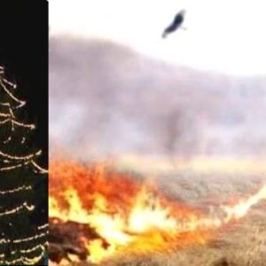 Daily News Reel - Cruelty with Animals in the Name of Diwali
