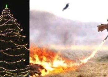 Daily News Reel - Cruelty with Animals in the Name of Diwali