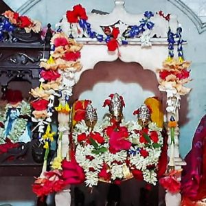Daily News Reel - Maa Sarada's Jagaddhatri Puja of Jayarambati