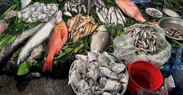 Daily News Reel - Padua Fish Market Feature