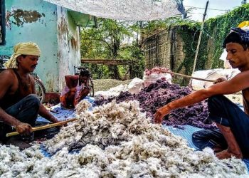 Daily News Reel - Cotton Carders Dhunuri Feature