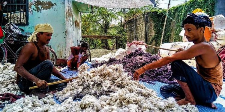 Daily News Reel - Cotton Carders Dhunuri Feature