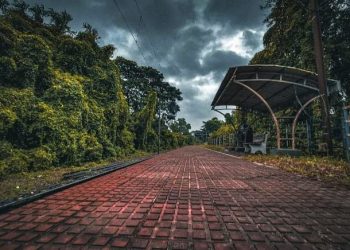 Daily News Reel - Jhaluarber Howrah Travel Story