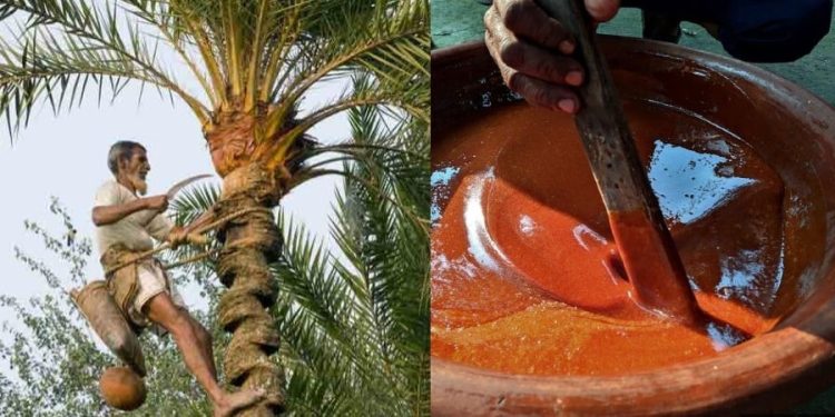 Daily News Reel - Nalengur and Migrant Jaggery Seller Special Story