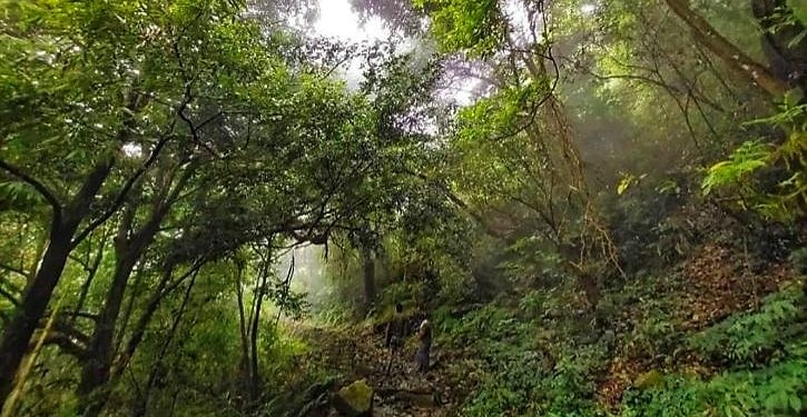 Daily News Reel - Thousand Years Old Trade Route of India