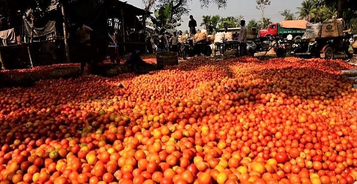 Daily News Reel - Gadamarahat Wholesale Vegetable Market in Nadia