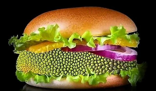 Daily News Reel - Jackfruit Burger Recipe