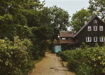 Daily News Reel - Rapid Change in Homestay Culture