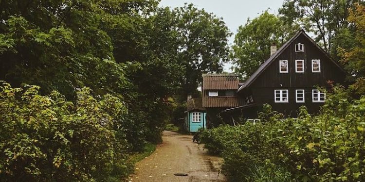 Daily News Reel - Rapid Change in Homestay Culture