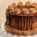 Daily News Reel - How Chocolate Cake Came to Bengal