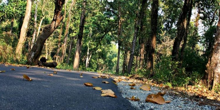 Daily News Reel - Notice for Closing Govt Schools in Buxa Editorail