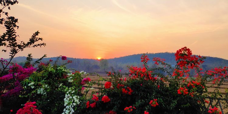 Daily News Reel - Offbeat Tourist Spot Dhangikusum