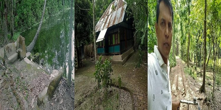 Daily News Reel - Friend Discovered Another Friends Home He had Left Behind