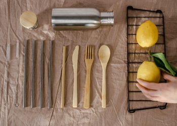 Daily News Reel - Sustainable Habits Editorial