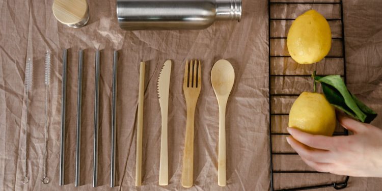 Daily News Reel - Sustainable Habits Editorial