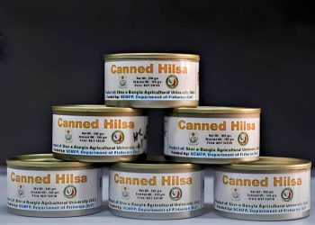 Daily News Reel - Chemical Free Hilsa in Can