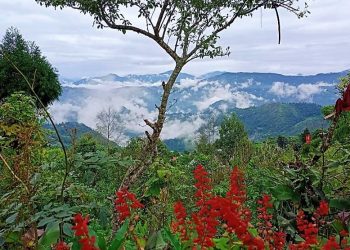 Daily News Reel - Pabong Tourist Spot Near Kalimpong