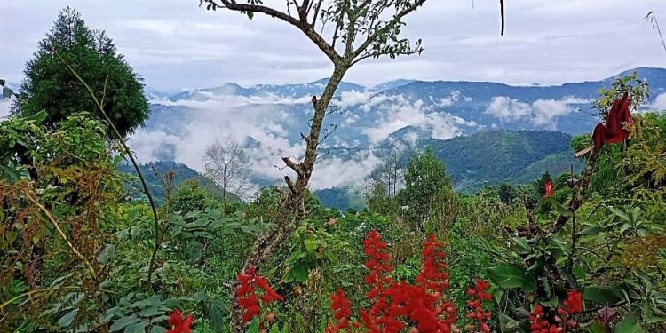 Daily News Reel - Pabong Tourist Spot Near Kalimpong