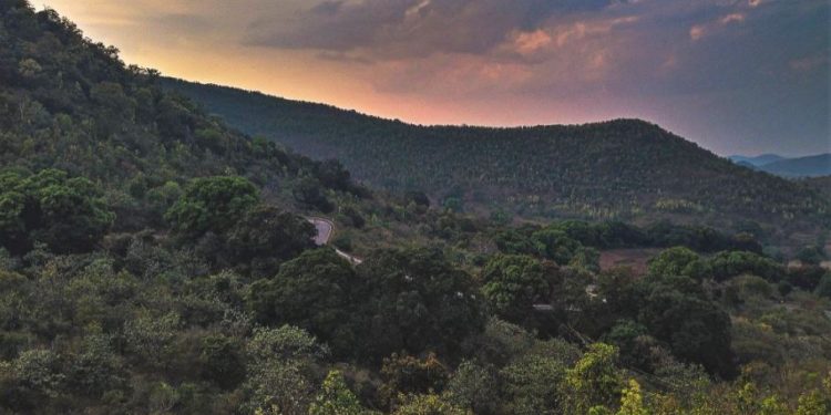 Daily News Reel - Daringbadi Kashmir of Odisha