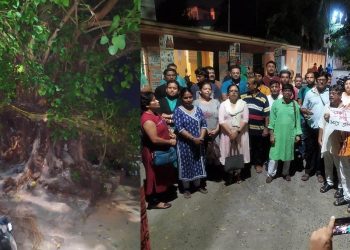 Daily News Reel - Serampore Protests for Century Old Ancient Tree