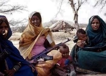Daily News Reel - Society Asked Womanhood of Eritrea's Liberation War Returned Women