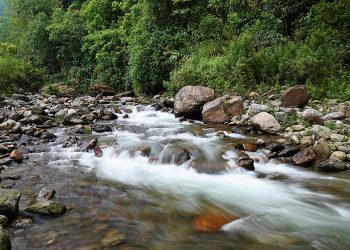 Daily News Reel - Todey Tourist Spot Near Indo-Bhutan Border