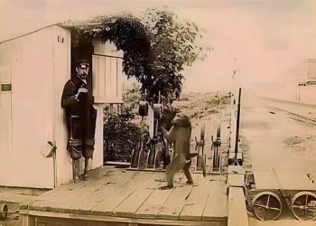 Daily News Reel - Monkey Appointed as a Railway Employee in South Africa